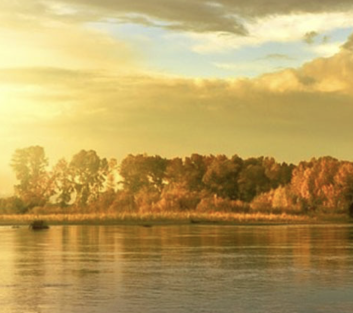 Antares Tierbestattung